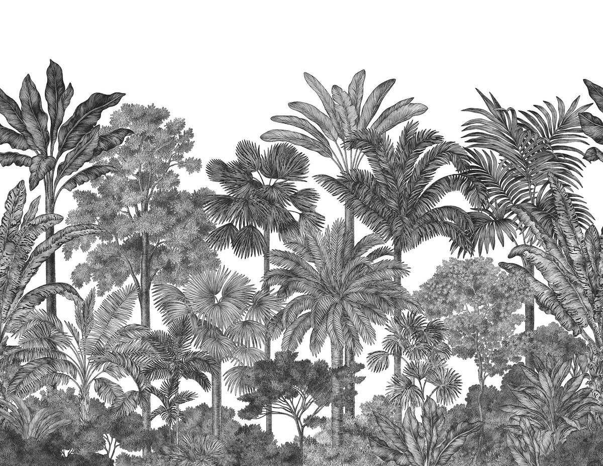R17594 Tropical Bellewood Graphite Wonder World Mural by Rebel Walls