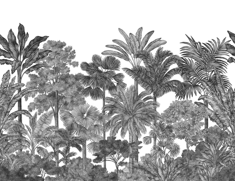 R17594 Tropical Bellewood Graphite Wonder World Mural by Rebel Walls