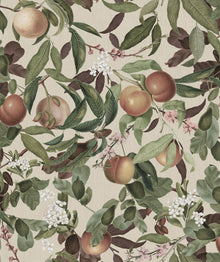 R17992 Peach Valley Sand Dreamland Wallpaper by Rebel Walls
