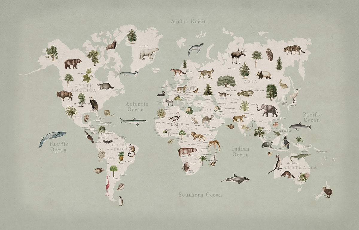 R18441 Animal World Mint Wonder World Mural by Rebel Walls