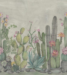 R18451 Playfull Cactus Summer Wonder World Mural by Rebel Walls