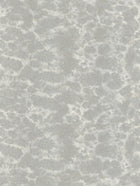 R18524 Flow Mini Shallow Grey Pops Wallpaper by Rebel Walls