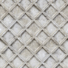 R18525 Small Concrete Trellis Harsh Grey Pops Wallpaper by Rebel Walls