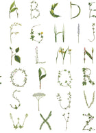R18532 Floral Alphabet Mini English Pops Wallpaper by Rebel Walls