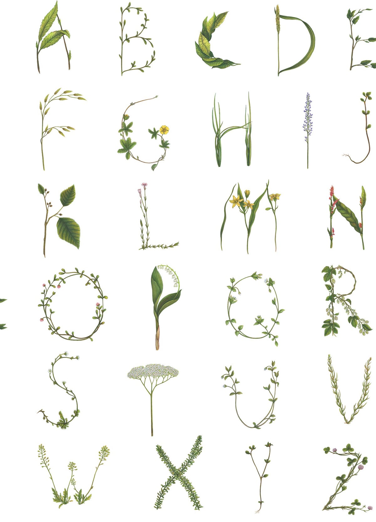 R18532 Floral Alphabet Mini English Pops Wallpaper by Rebel Walls