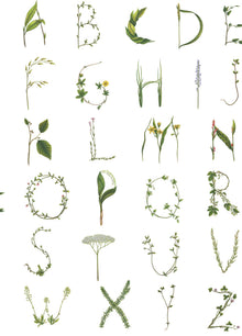R18532 Floral Alphabet Mini English Pops Wallpaper by Rebel Walls