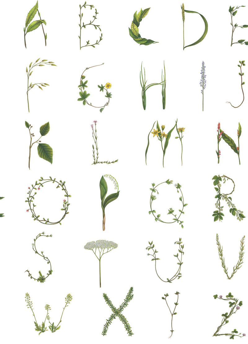 R18532 Floral Alphabet Mini English Pops Wallpaper by Rebel Walls