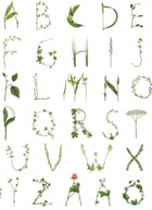 R18535 Floral Alphabet Mini Swedish Pops Wallpaper by Rebel Walls