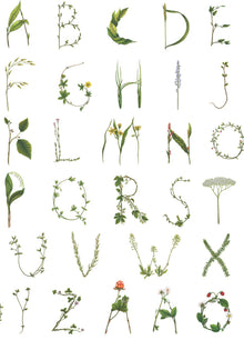 R18535 Floral Alphabet Mini Swedish Pops Wallpaper by Rebel Walls
