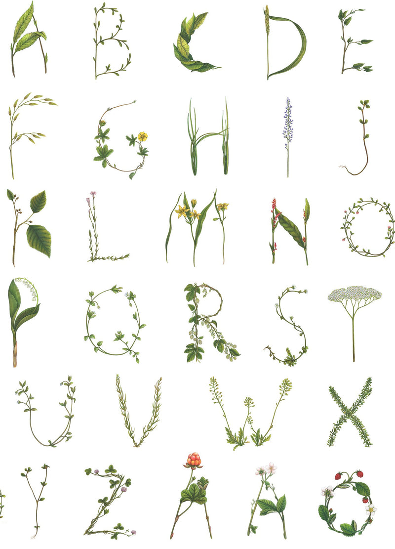R18535 Floral Alphabet Mini Swedish Pops Wallpaper by Rebel Walls