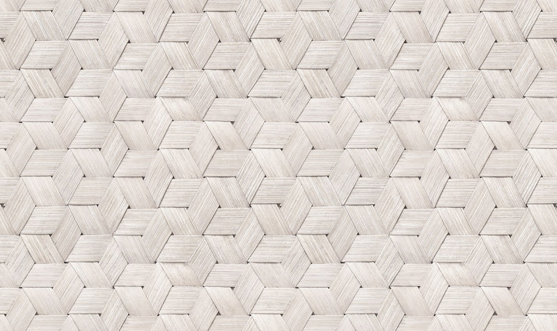 R18538 Small Birch Bark Braids Snow White Pops Wallpaper by Rebel Walls