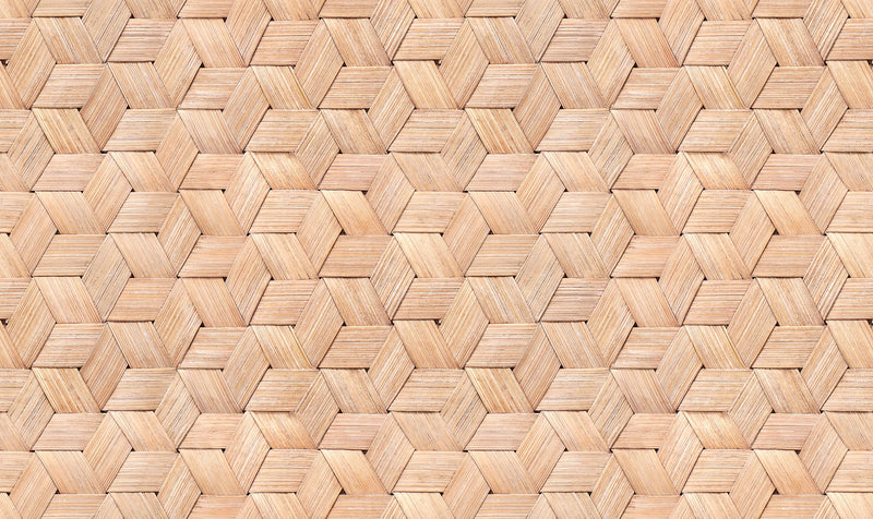 R18539 Small Birch Bark Braids Nature Pops Wallpaper by Rebel Walls