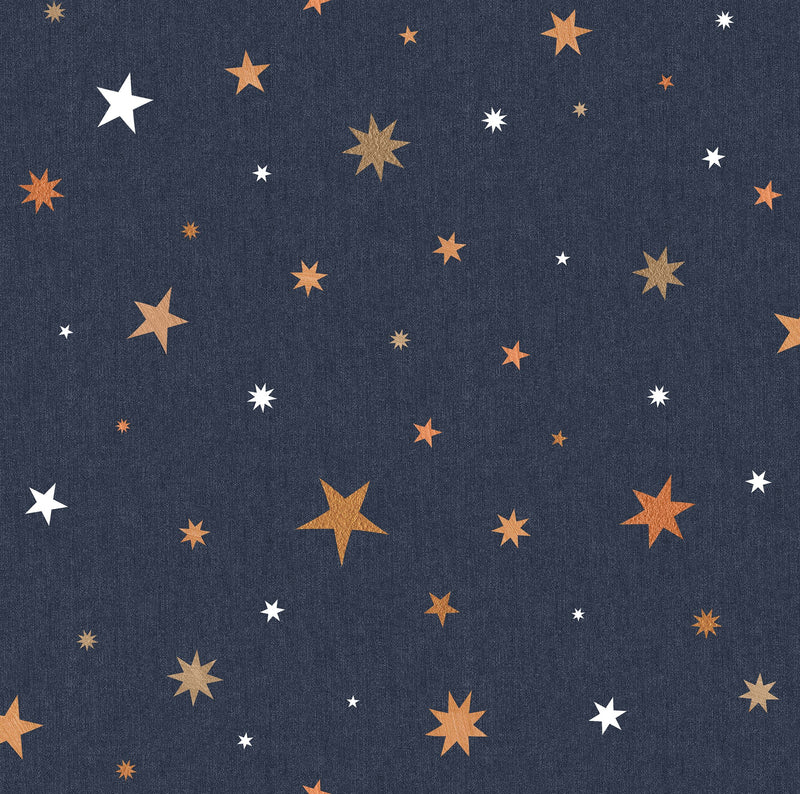 R18545 Stardust Night Pops Wallpaper by Rebel Walls
