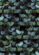 R18553 Petite Peacock Plumage Opal Pops Wallpaper by Rebel Walls