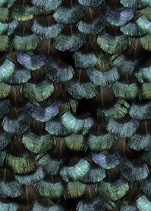 R18553 Petite Peacock Plumage Opal Pops Wallpaper by Rebel Walls