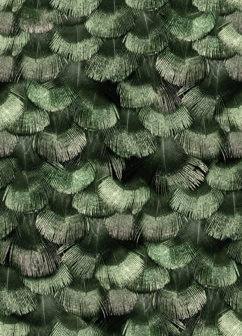 R18554 Petite Peackock Plumage Jade Pops Wallpaper by Rebel Walls