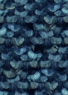 R18555 Petite Peacock Plumage Teal Pops Wallpaper by Rebel Walls