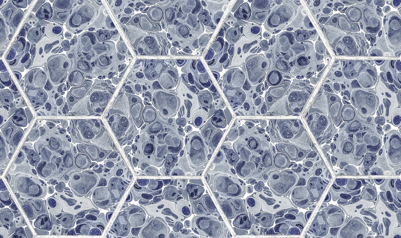 R18557 Marbled Hexagon Tiles Dark Blue Pops Wallpaper by Rebel Walls