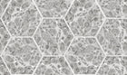 R18558 Marbled Hexagon Tiles Gray Pops Wallpaper by Rebel Walls