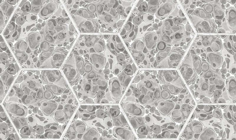 R18558 Marbled Hexagon Tiles Gray Pops Wallpaper by Rebel Walls