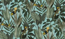R18563 Birds of Paradise Lush Green Pops Wallpaper by Rebel Walls
