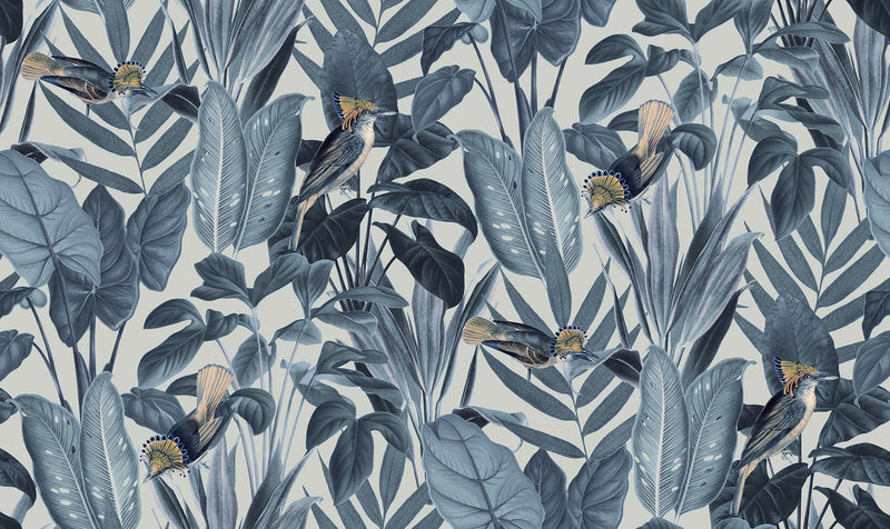 R18564 Birds of Paradise Nightfall Pops Wallpaper by Rebel Walls