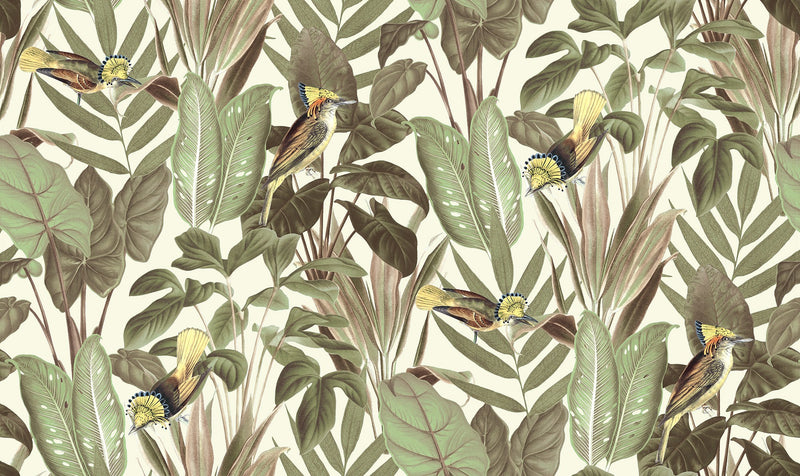 R18565 Birds of Paradise Bright Dawn Pops Wallpaper by Rebel Walls