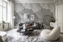 R18589 Petals Graphite Simplicity Mural by Rebel Walls