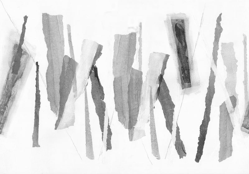 R18592 Tear Graphite Pops Mural by Rebel Walls