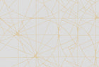 R18617 Facet Gold Pops Mural by Rebel Walls