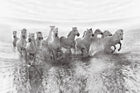 R19014 Running Horses Pops Mural by Rebel Walls