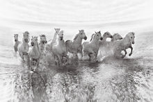 R19014 Running Horses Pops Mural by Rebel Walls