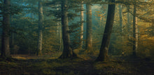 R19016 Beech Forest Pops Mural by Rebel Walls