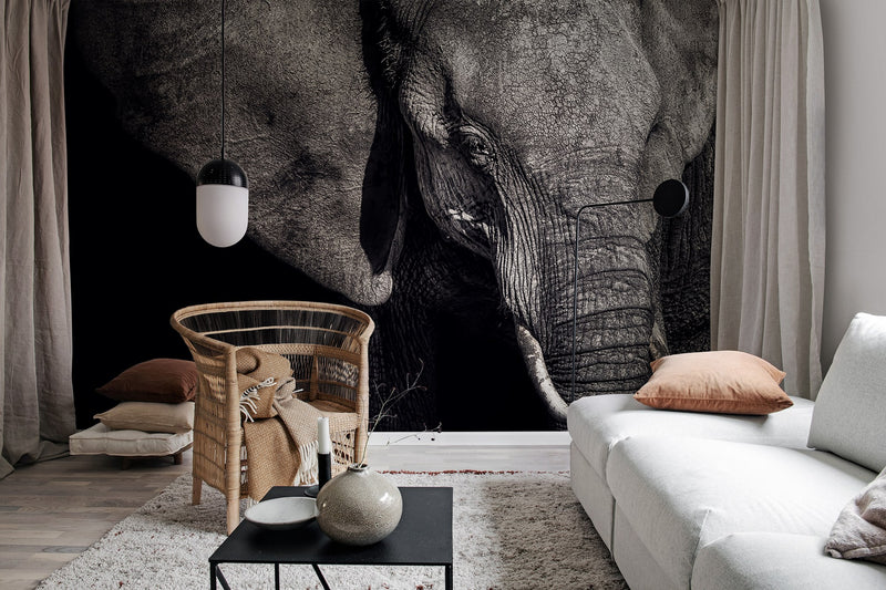 R19022 Elephant Pops Mural by Rebel Walls
