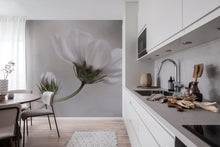 R19025 White Flower Pops Mural by Rebel Walls