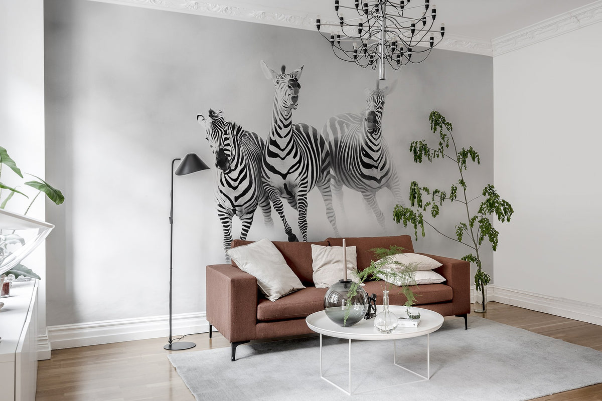 R19027 Graphic Zebras Pops Mural by Rebel Walls