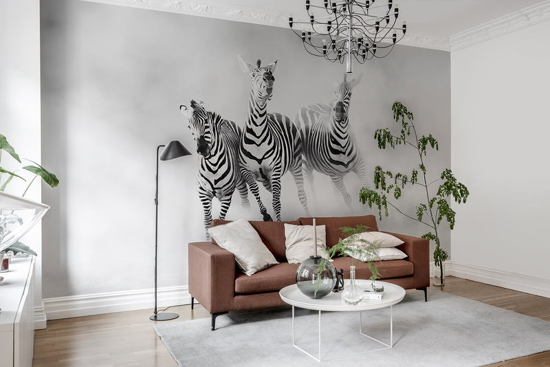 R19027 Graphic Zebras Pops Mural by Rebel Walls