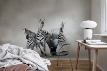 R19027 Graphic Zebras Pops Mural by Rebel Walls