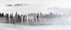 R19049 Calm Forest Pops Mural by Rebel Walls
