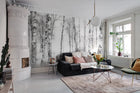 R19070 Birch Trees Pops Mural by Rebel Walls