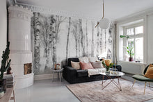 R19070 Birch Trees Pops Mural by Rebel Walls