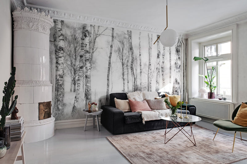 R19070 Birch Trees Pops Mural by Rebel Walls