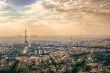 R19081 Paris Panorama Pops Mural by Rebel Walls