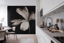 R19089 Dramatic Flower Pops Mural by Rebel Walls