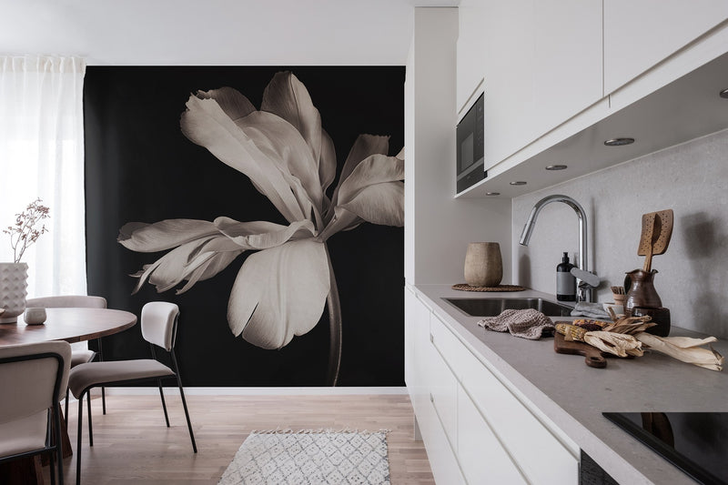 R19089 Dramatic Flower Pops Mural by Rebel Walls