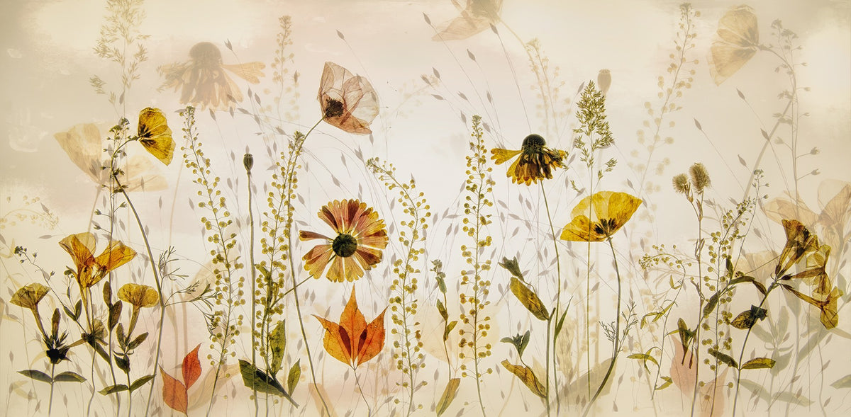 R19141 Midsummer Meadow Pops Mural by Rebel Walls