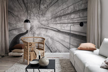 R19150 Tree Tops Pops Mural by Rebel Walls