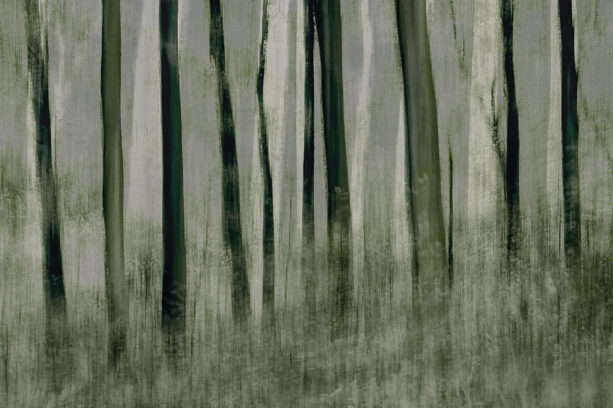 R19153 Painted Trees Pops Mural by Rebel Walls