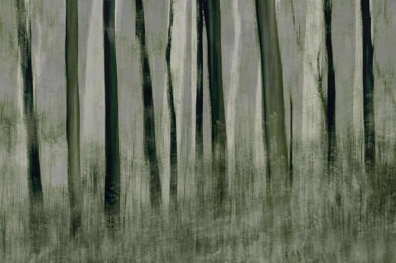 R19153 Painted Trees Pops Mural by Rebel Walls