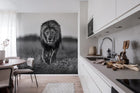 R19160 Lion King Pops Mural by Rebel Walls